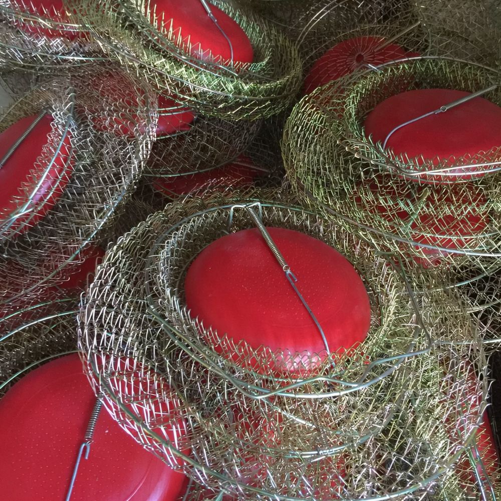 Metal Fishing Basket Foldable  - Fishing Equipment Essentials review and price